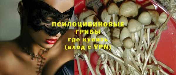 винт Алексин